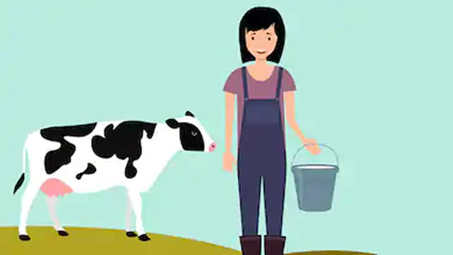 Pemerah Susu dan Embernya