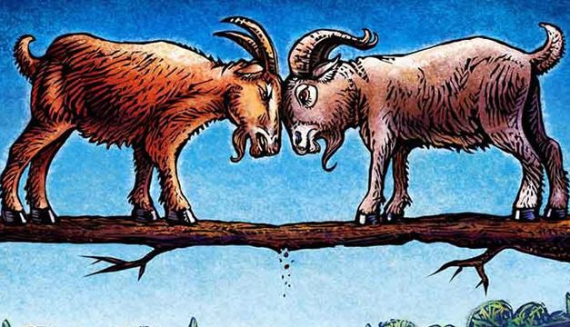 Dua Ekor Kambing