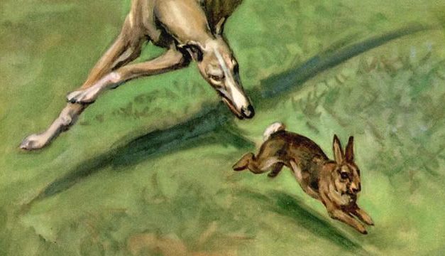 Kelinci dan Anjing Pemburu