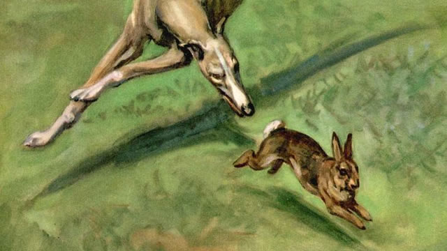 Kelinci dan Anjing Pemburu