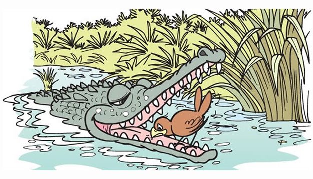 Buaya dan Burung Penyanyi